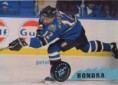 /album/a1995-96/a1995-96-stadium-club-209-bondra-a-jpg/